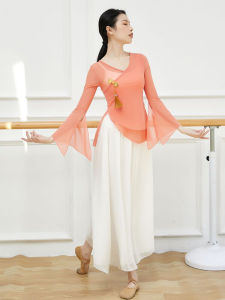 Elegant Classical Dance Costume Womens Practice Suit Flowing Performance Outfit Summer Top Bottom Set Sport Fitness Wear