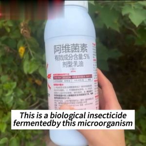 Insecticide for Eggplant: Non-Toxic Plant Treatment & Safe Protection
