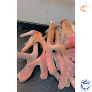 Nhung hươu khô nhung hươu tăng cân sấy lạnh từ nhung hươu tươi thái lát đảm bảo giữ nguyên lượng huyết dinh dưỡng