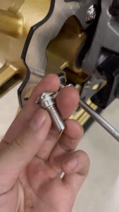 Ốc Đĩa Thắng Salaya Có Gờ Cố Định Chuẩn Inox304