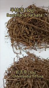 [HERBS] Herbal Oldenlandia Diffusa (30g) + Scutellaria Barbata (30g) / 蛇舌草（30克·）+ 半枝莲（30克）
