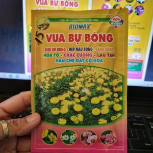 Phân bón kích ra hoa vua bự bông 50gr bông to hết cỡ siêu bự bông mập nụ đẹp màu bông sáng bông lâu tái lâu tàn