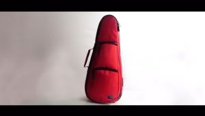 Zorc Official - Moraes | Tas Biola 4/4 | Case Violin Cream