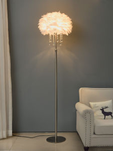 HOWNICE | Feather Crystal Lamp
