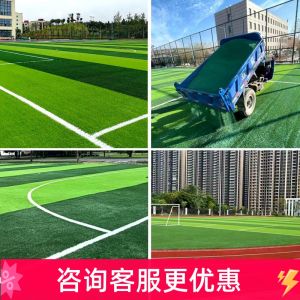 Artificial Football Field Grass 5cm Artificial Plastic Sand-filled Particle-free Filling Simulation Grass for 5-7 People