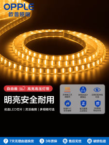 OuPei LED Neon Light Strip Line Lamp for Living Room Ceiling Decoration Patch Star Bright Light Band Non Intelligent Control 220V