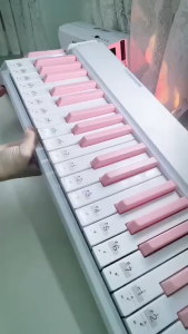 Đàn Piano Điện BETSY Gấp Gọn - 88 Phím Nặng Cảm Lực - Kết Nối Bluetooth - Dễ Dàng Mang Đi - Siêu Đẹp - Bền