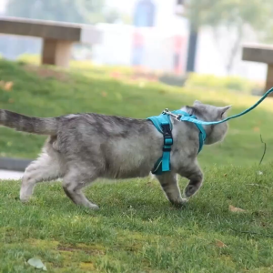 【Mi Pet Lover】Cat Harness and Leash Set Upgraded Escape Proof Adjustable Vest with Lead