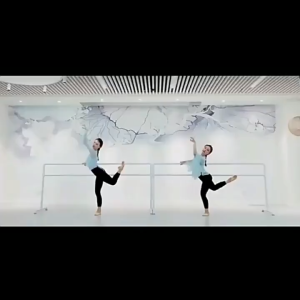 Ballet Barre Floor Standing Heavy Duty for Girls Women Fitness Equipment Portable for Dance Room Balance Excercise Stretching