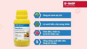 Headline 250EC - Chai 100ml | Giải pháp tăng năng suất cây trồng