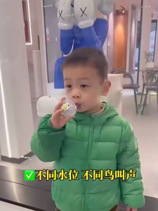 Mainan Peluit Burung Air Bird Whistle Toy Fun for Children Toddlers Oral Motor Skills Development