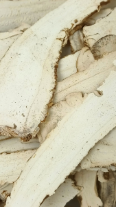 白芷 100g 白芷片 Bai Zhi Root