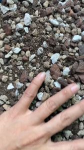 Bao 7kg - giá thể trộn sẵn chuyên trồng kiểng lá Potting Soil BA