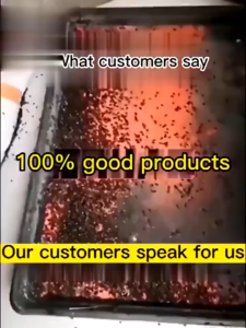 200g Fly Bait Powder Fast Acting Long Lasting Fly Repellent Pest Control for Home Kitchen Farm Stable Poultry Barn Indoor Outdoor