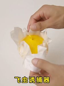 5PCS Perangkap Lalat Buah Yellow Trap Rumah Perangkap Lalat Lem Efektif Likat Kuning Perangkap Hama