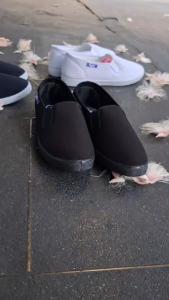 รองเท้าBuddy รุ่นB-113A รองเท้าผ้าใบหญิง (ของแท้)