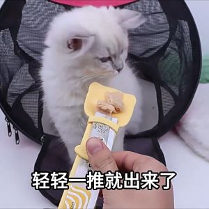 Sendok Alat Makan Snack Basah Makanan Kucing Anjing Pet Wet Food Cat Liquid Feeder