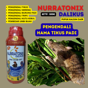 Obat Anti Tikus Sawah DALIKUS 500ML Paling Ampuh – Semprotan Pengusir Tikus Tanaman Padi Mengurangi Kerusakan Tanaman Cepat Bereaksi Aman untuk Lingkungan Pilihan Terbaik Petani untuk Panen Melimpah