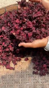 !!!กระเจี๊ยบแดงแห้ง ผลผลิตเดือนกุมภาพันธ์ ปี 2568 100g-500gส่งตรงจากเกษตรกร สำหรับต้มน้ำกระเจี๊ยบ/ชงชา