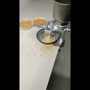 grain grinder machine heavy duty Wet & Dry Mill/PANG GILING Corn Rice Coffee Beanspeanut butter grinder machine Manual Rice Mills Rice  Coffee Feed Beans Dalak  pelletizer machine for feeds