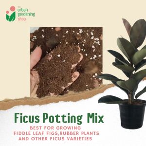 8-liter PREMIUM FICUS POTTING MIX - Best for Fiddle Leaf Fig Rubber Plants and Similar Varieties
