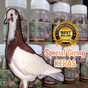 JAMU MERPATI GIRING KERAS "JAMU HEBAT"