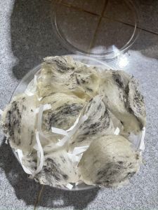 1Lạng tổ yến thô thiên nhiên tổ yến thô nhà nuôi tổ già shop tặng kèm nhíp và đồ chưng
