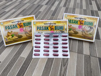 Kapsul 24 blister pasak bumi