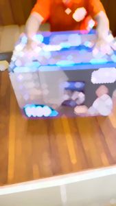 Robot hút bụi lau nhà Ecovacs Deebot N30 Pro Omni – Bản Quốc Tế