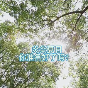 Quạt Ghế Ô Tô 16 Vùng FanMat Auto - WorldMart