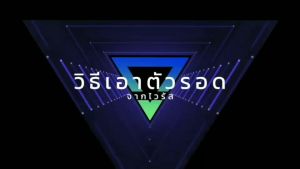 พลูคาว ยอดอ่อน คอร์เดสต้า มิกซ์ พีเอ็นเค พลูคาวแบบน้ำ ยอดอ่อนพลูคาว