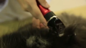 BaoRun P6 Pro Alat Cukur Elektrik Bulu Domba Garut Kambing Kurban Pet Dog Clipper