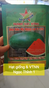 (Gói 20gr) Hạt Giống Dưa Hấu Mỹ Nhân Lai F1 979 THÀNH ĐẠT NÔNG (Dưa Hấu Đường)