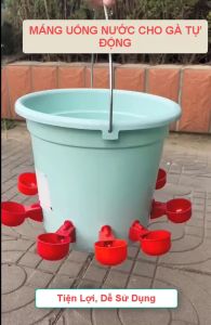 set 10 máng nước tự động cho gia cầm lắp vào thùng sơn hoặc thùng bê