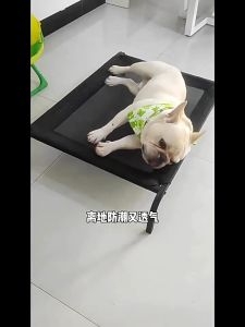 Elevated Dog Bed Mesh Bed Metal Frame Pet Bed Anti Skin Diseasebigger Dog Bed  Breathable Mesh  狗狗床 行军床 狗床可拆洗