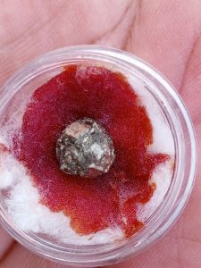 batu tarikan alam P3TIL4SAN EY4NG DIP0 (P3NG4S1HAN)