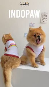 POMAPOO - Baju Kucing dan Baju Anjing Indopaw