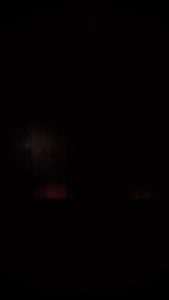 Vectorlabs Master Whey 12 Sachet Box Whey Protein Isolate dan Concentrate