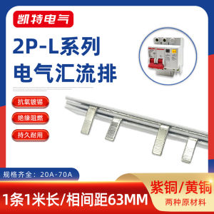 63A Copper Busbar 2P Leakage Kate Electrical Connector Brass Yellow Copper Branch Circuit Breaker Wiring Bar KT008