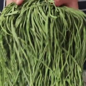 Rau tiến vua khô (giòn ngon) 500g Rau cung đình Rau cần biển - tấn phát