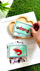 Flash Card BM : 20 Tema – Gambar & Perkataan Berasingan Kad Imbas Preschool Learning Bahasa Melayu