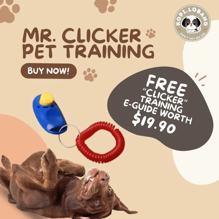 Clicker Training Kit