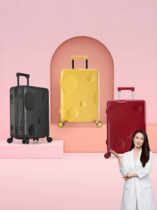 Caran·Y | Scratch-resistant Lightweight High-capacity Travel Luggage 20 inches