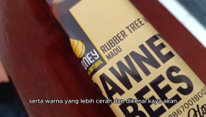 RAW Honey Rawney Bees Madu Nektar Karet Asli Murni 250 ML Botol Kaca