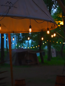 สายไฟห้อยระย้า ขั้วE27 5-20เมตร พร้อมหลอดไฟ 220v สายระย้า LED 3W หลอดปิงปองความยาว 1 เมตร โดยประมาณ มี 3 ขั้วมาพร้อมปลั๊