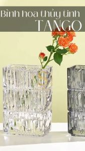 Bình Hoa Decor Tango Thủy Tinh Phiên Bản Premium Màu Ánh Pha Lê Cắm Hoa Trang Trí Nội Thất Phòng Khách Bàn Trà