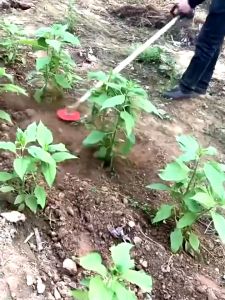 Multipurpose Trimmer Head Blade Weeder Plate Lawn Mower Garden Tool Trimmer Blade Potong Rumput Replacement Parts  Durable