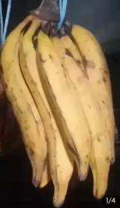 pisang tanduk madu asli cianjur selatan/1kg