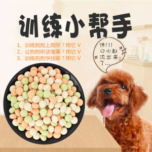 Small Dog Treats Training Rewards Pet Biscuits for Teddy Pomeranian Dogs Three Months Snacks Dry Meat Sticks from China
