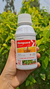 [VTNN TIEN KHOA] 1 CHAI RICEGUARD 40 OD 250ML QUẢN LÝ CỎ DẠI TRÊN RUỘNG LÚA